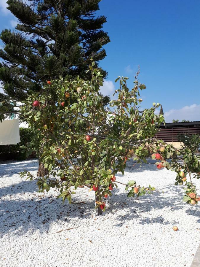 Villa Bouboulina Cyprus Айя-Напа Экстерьер фото